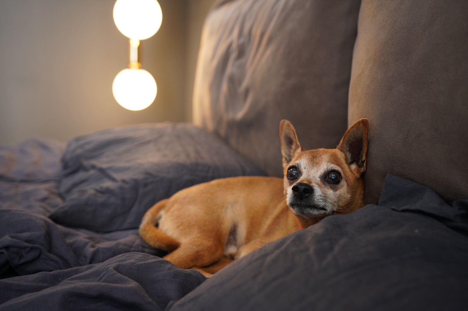 Загородный дом в стиле Loft