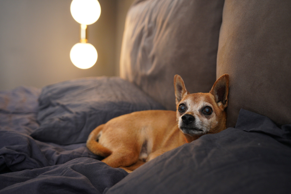 Загородный дом в стиле Loft