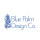 Blue Palm Design Co.