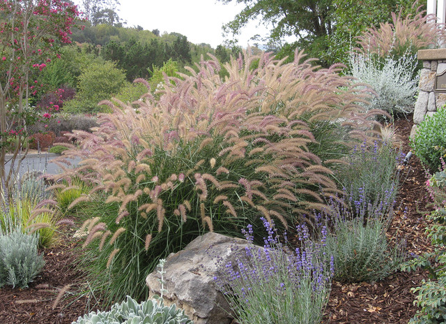 6 Gorgeous Plant Combos With Low Water Ornamental Grasses,Baked Chicken Breast Nutrition