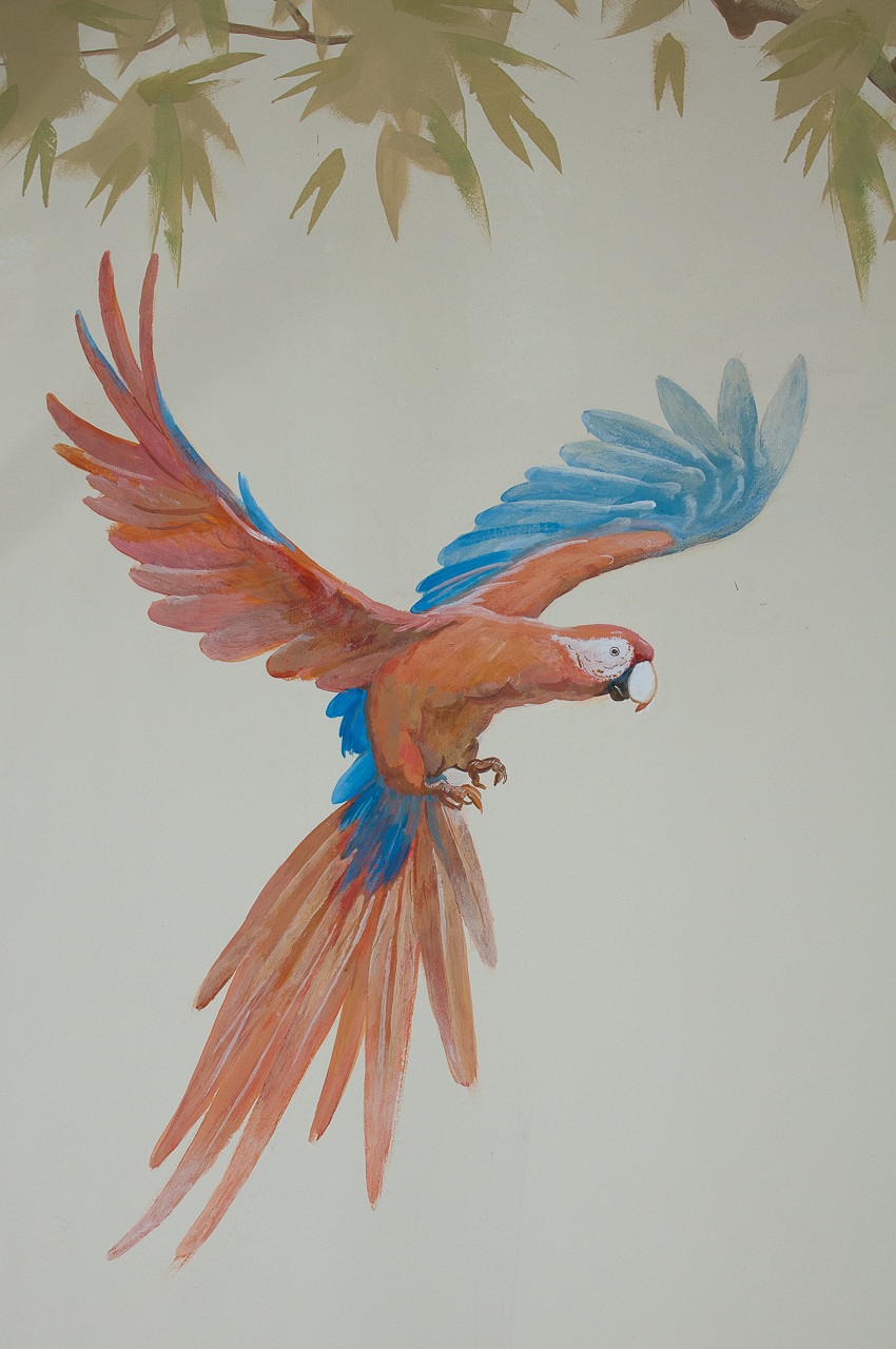 Роспись детской Джунгли / Mural in the children's room