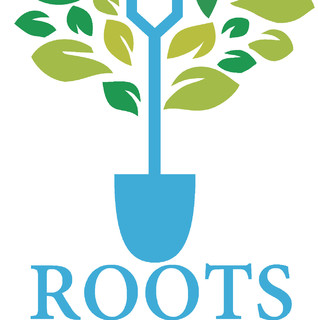 ROOTS LANDSCAPE DESIGN AND CONSULTING LLC. - Project Photos & Reviews ...