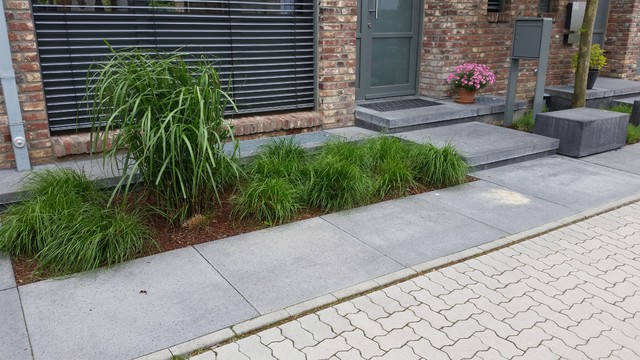 Moderner Vorgarten
