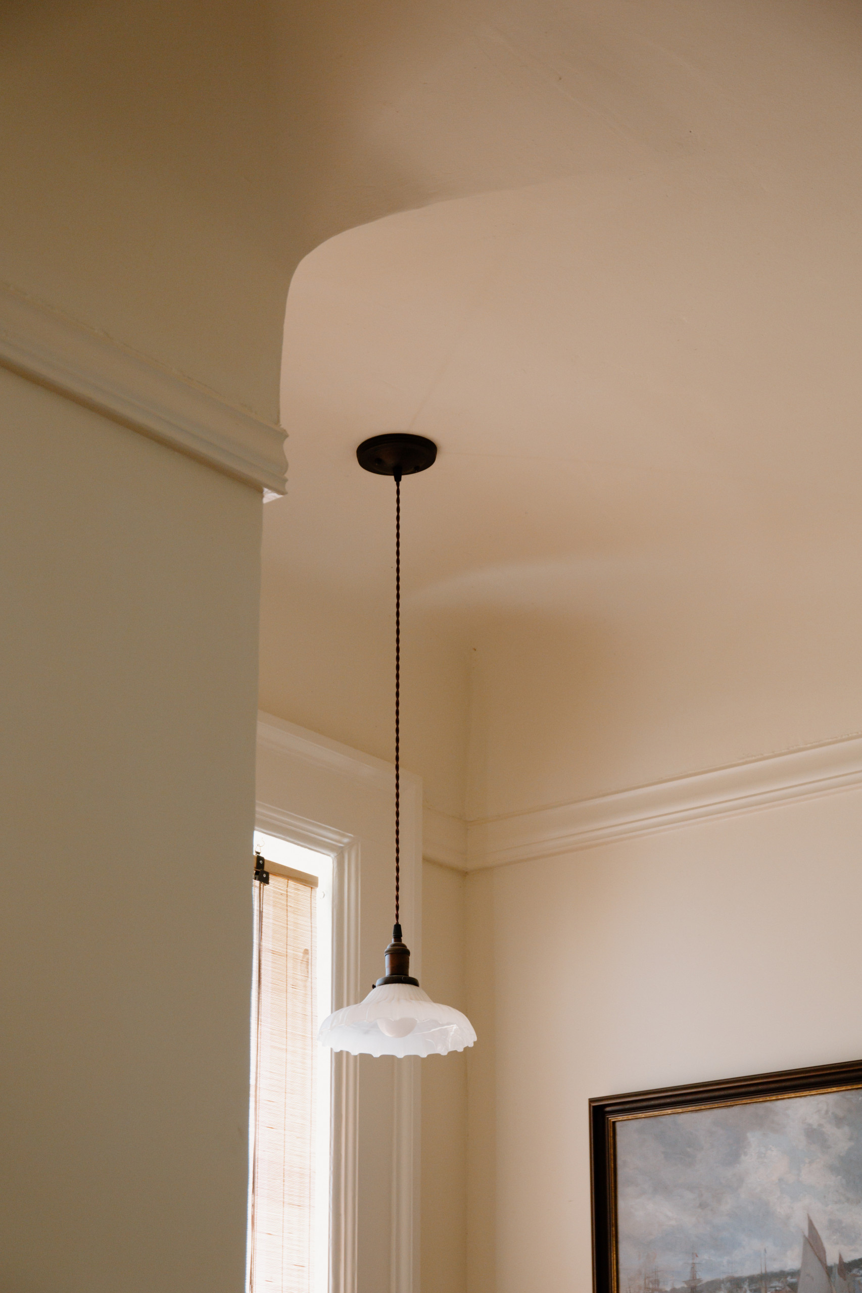 Plaster Ceiling