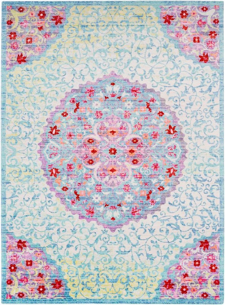 Machine Woven Seasoned Treasures Area Rug SDT2300, 2'x3' Traditional