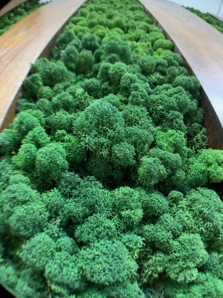 Стена из стабилизированного мха