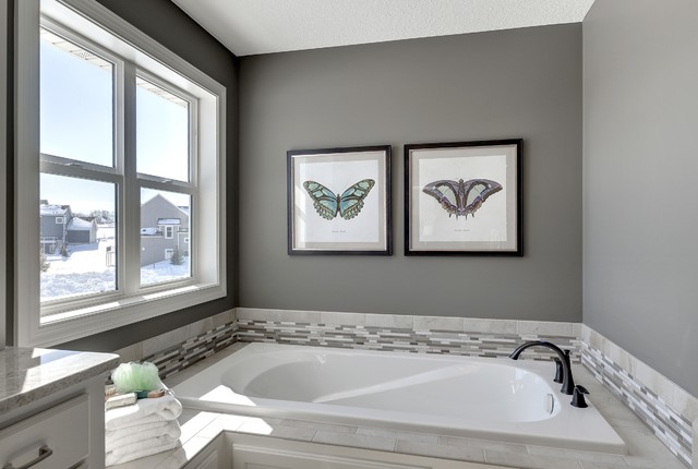 Aspen Plus traditional-bathroom