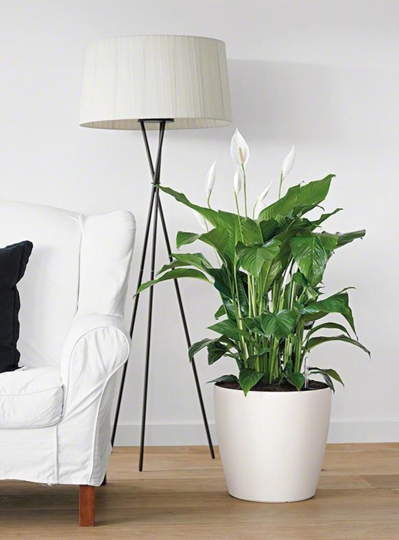 Самый популярный летний стиль