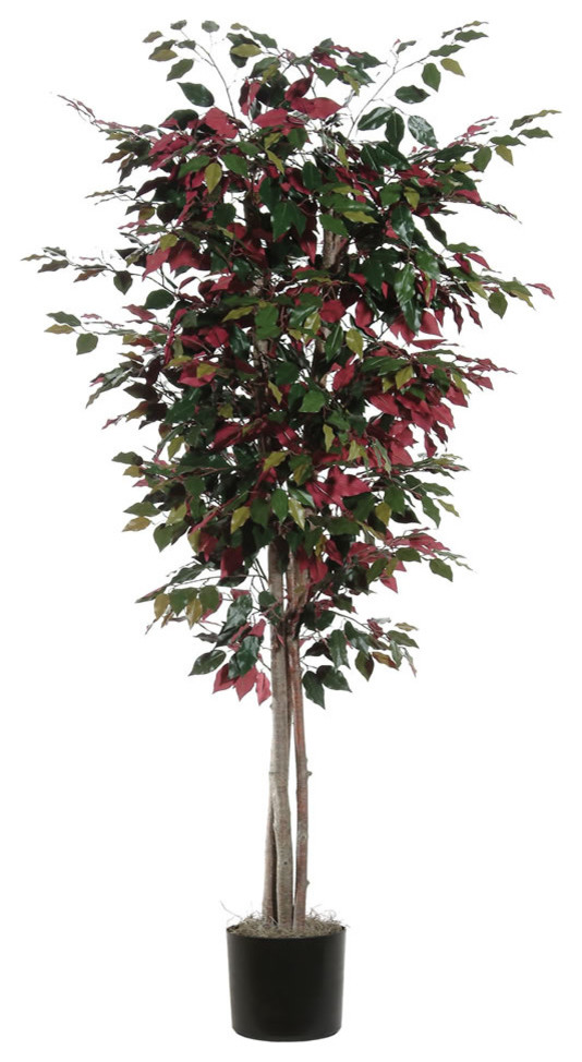 Vickerman Capensia Deluxe Tree, 6'