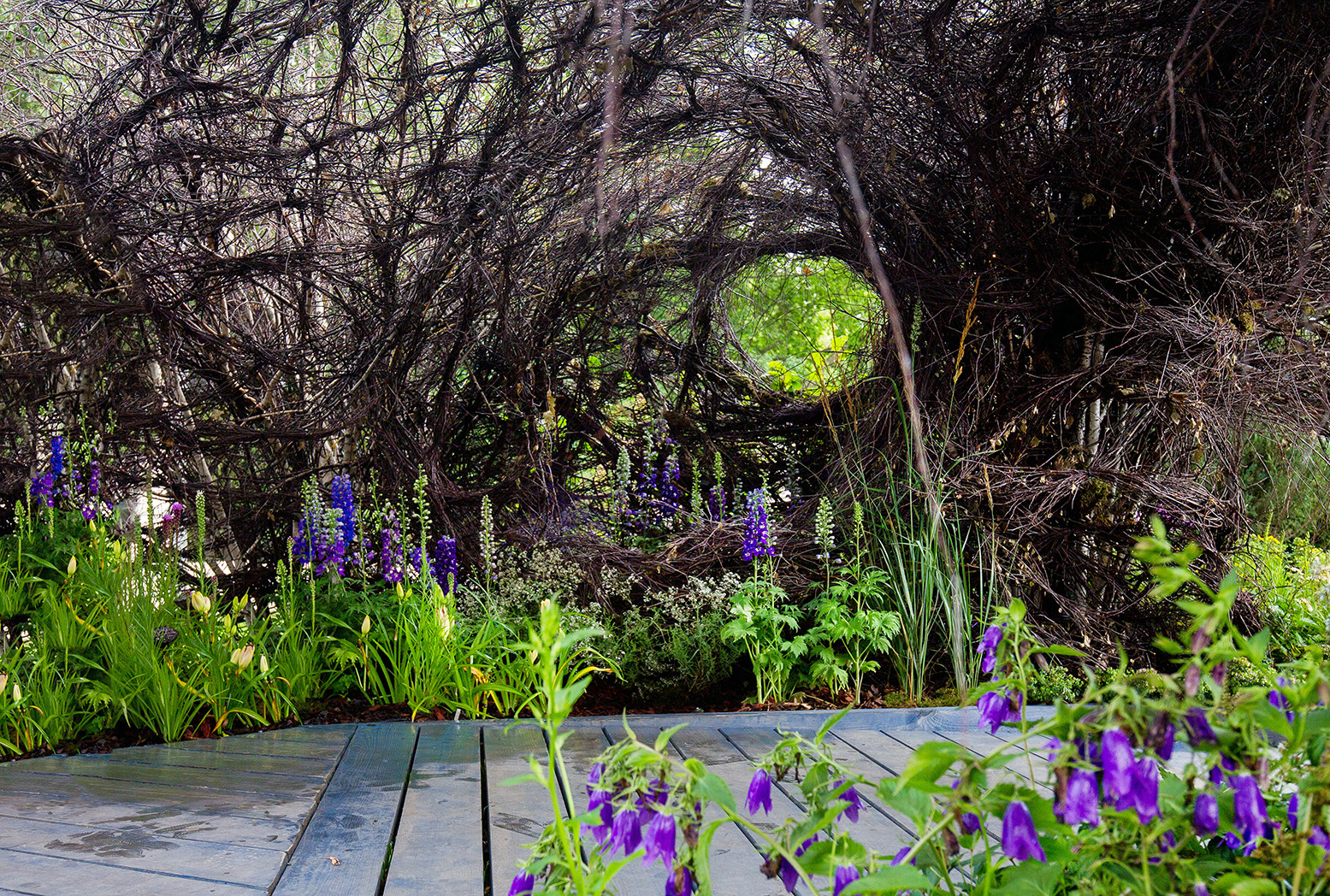 Фотосъемка Сада   по  Метрелинку на MFS 2019 Авторы М,Береснева М. ПРИНТЦ