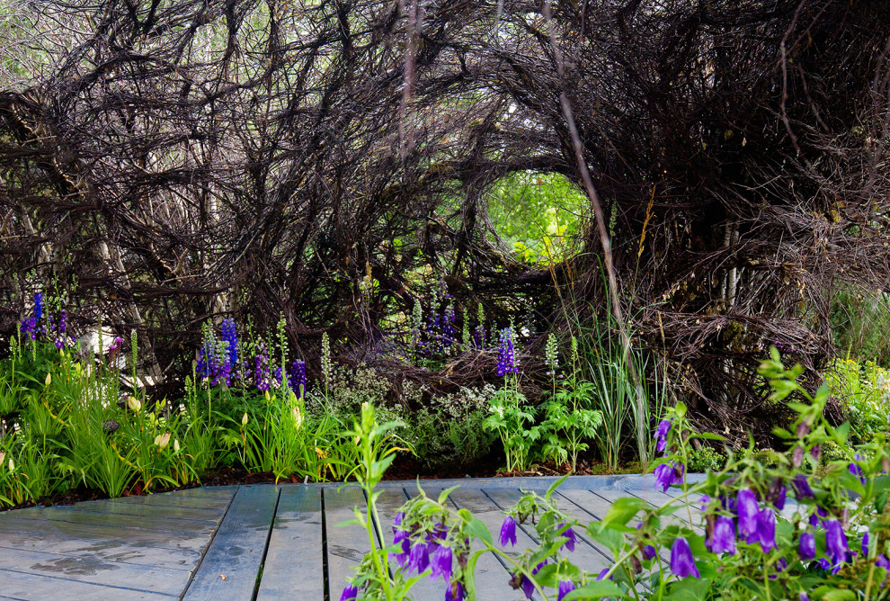 Фотосъемка Сада   по  Метрелинку на MFS 2019 Авторы М,Береснева М. ПРИНТЦ