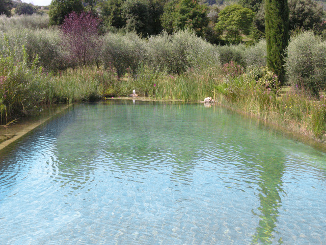 VERA LUCIANI contemporary-pools-and-hot-tubs