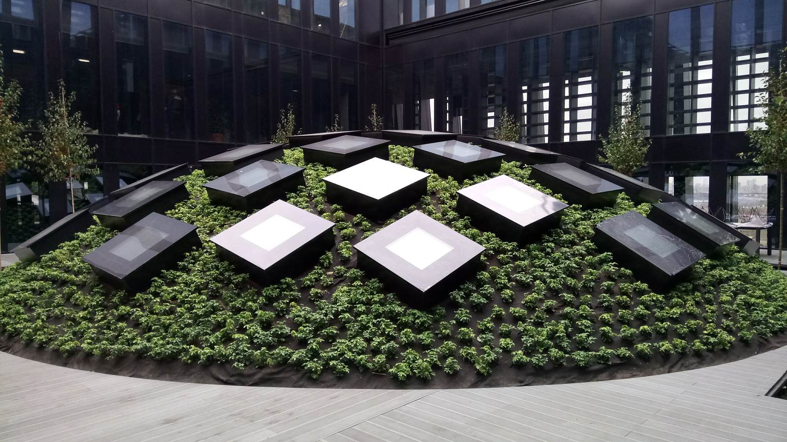 Зеленые кровли. Green roof