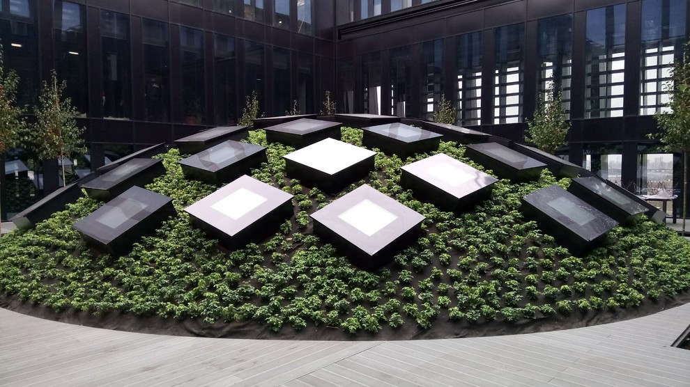 Зеленые кровли. Green roof