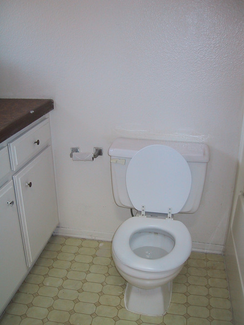 Remodeling Bathroom Slab Foundation floors - have dog, concrete slab foundation, vinyl plank? Remodeling Bathroom Slab Foundation floors - have dog, concrete slab foundation, vinyl plank?