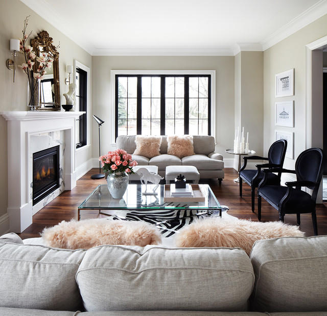 Transitional Living Room transitional-living-room