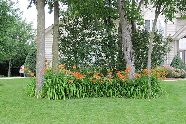 This is an example of a large transitional front yard garden in Milwaukee.