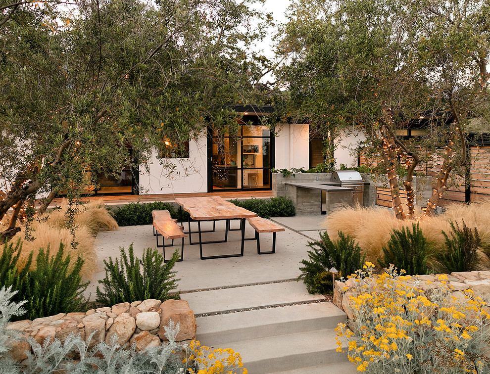 Large midcentury backyard full sun formal garden in Santa Barbara with a garden path and concrete pavers.