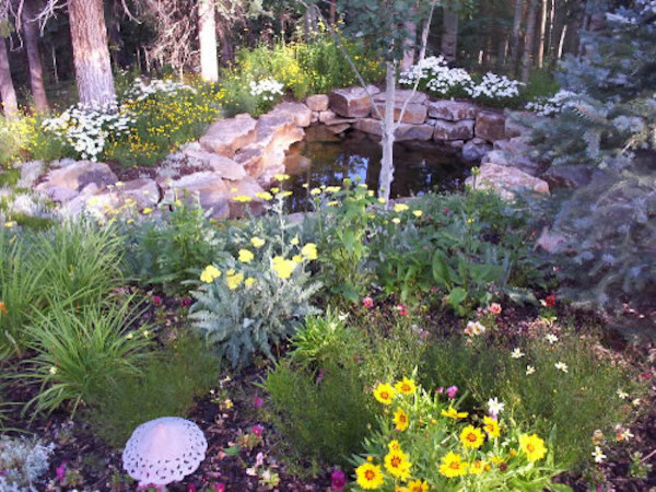 Design ideas for a huge rustic full sun backyard stone water fountain landscape in Denver.