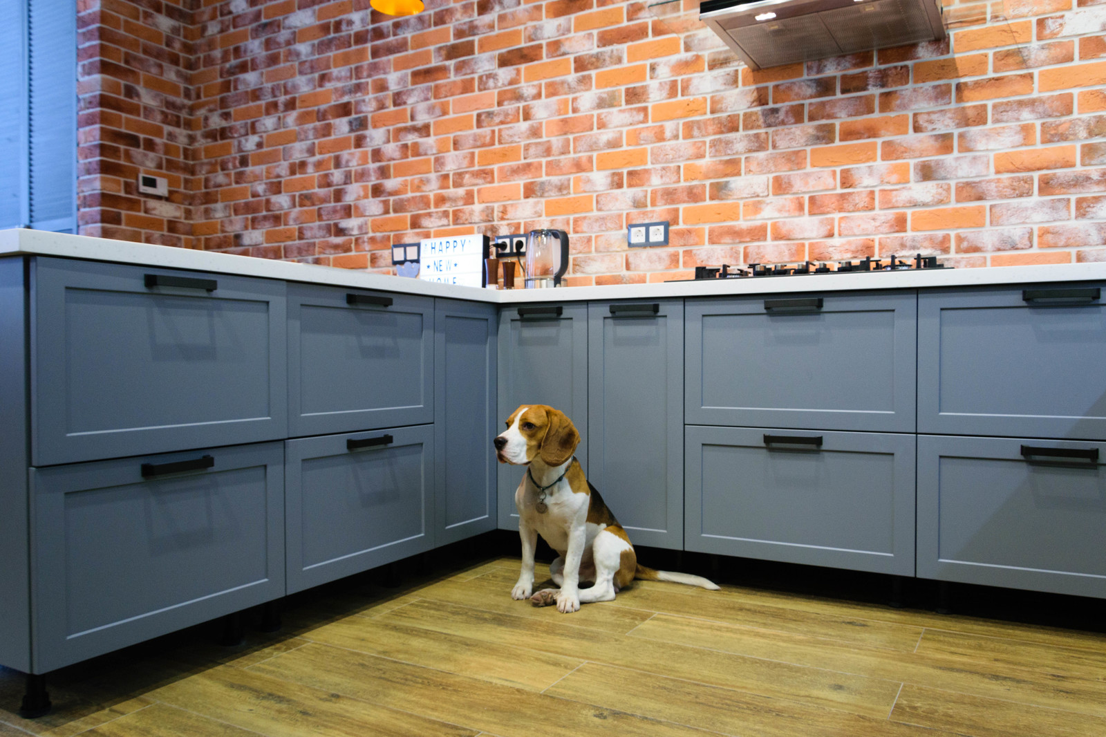 Съемки для Unice Кухни"