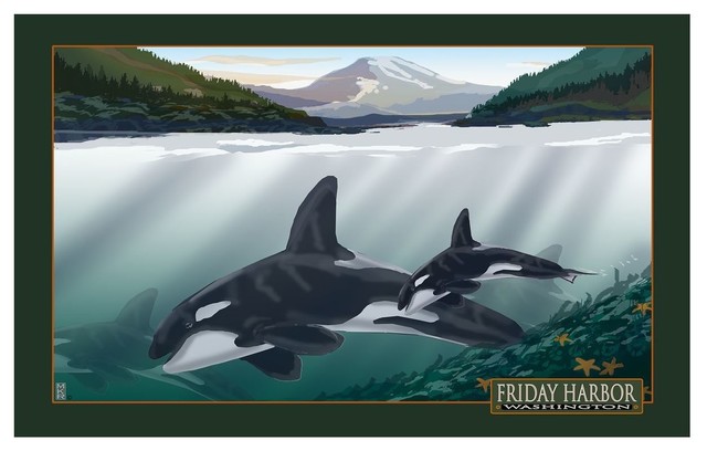 Washington Orca Print