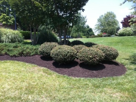 Design ideas for a mid-sized transitional full sun hillside landscaping for spring.