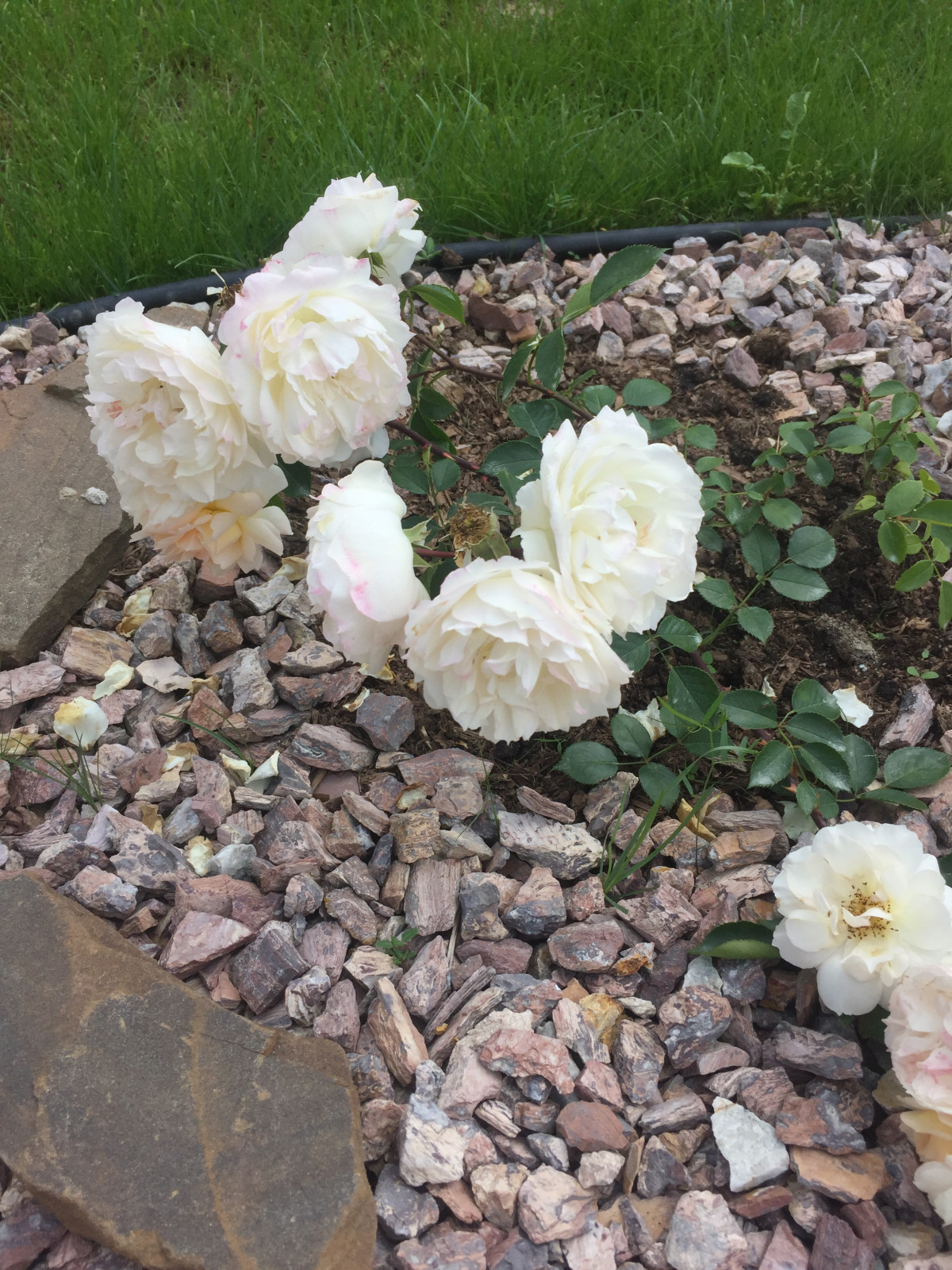 Ландшафтный дизайн участка треугольной формы