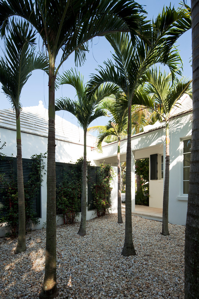 This is an example of a mid-sized tropical courtyard garden in Miami with a garden path and gravel.