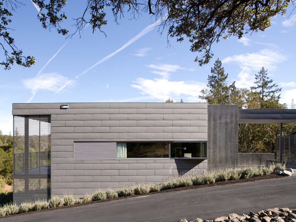 Inspiration for a modern home design remodel in San Francisco