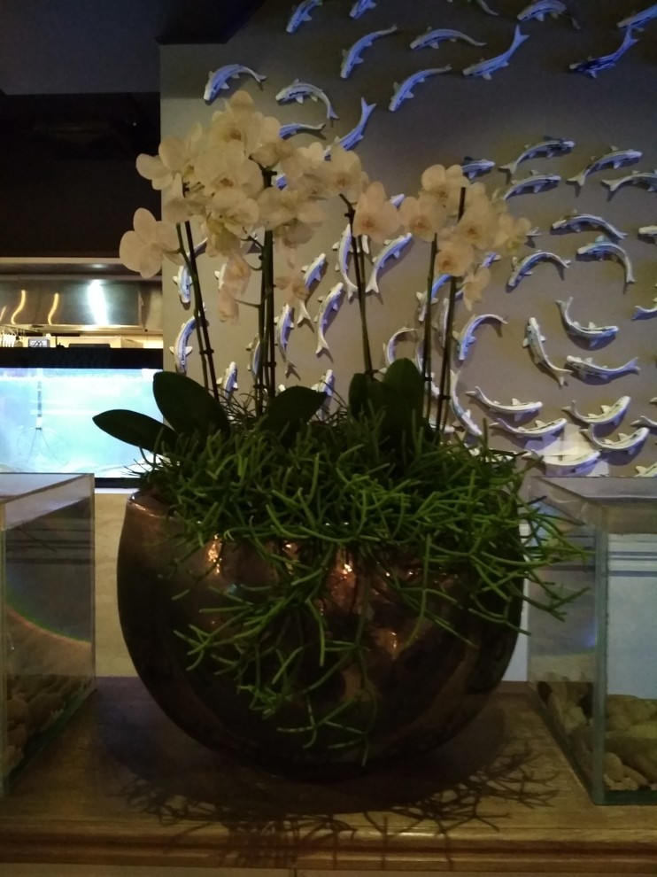 фитодизайн