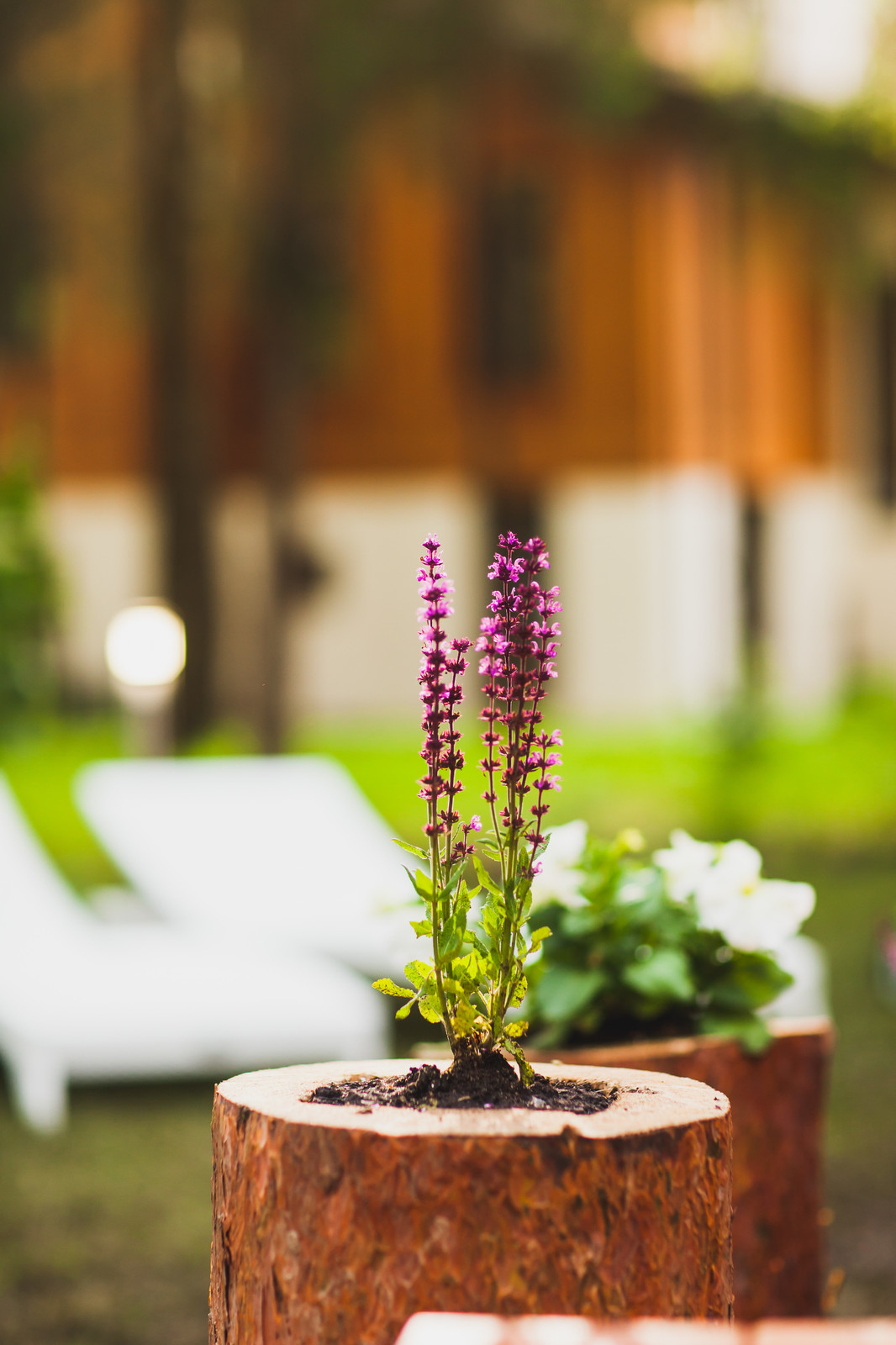 Ландшафтный дизайн для актрисы Татьяны Лютаевой