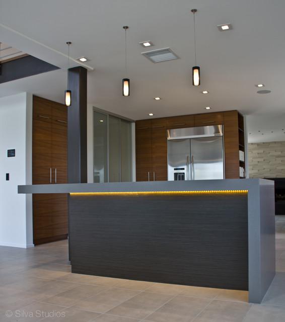 Hoagland House modern-kueche
