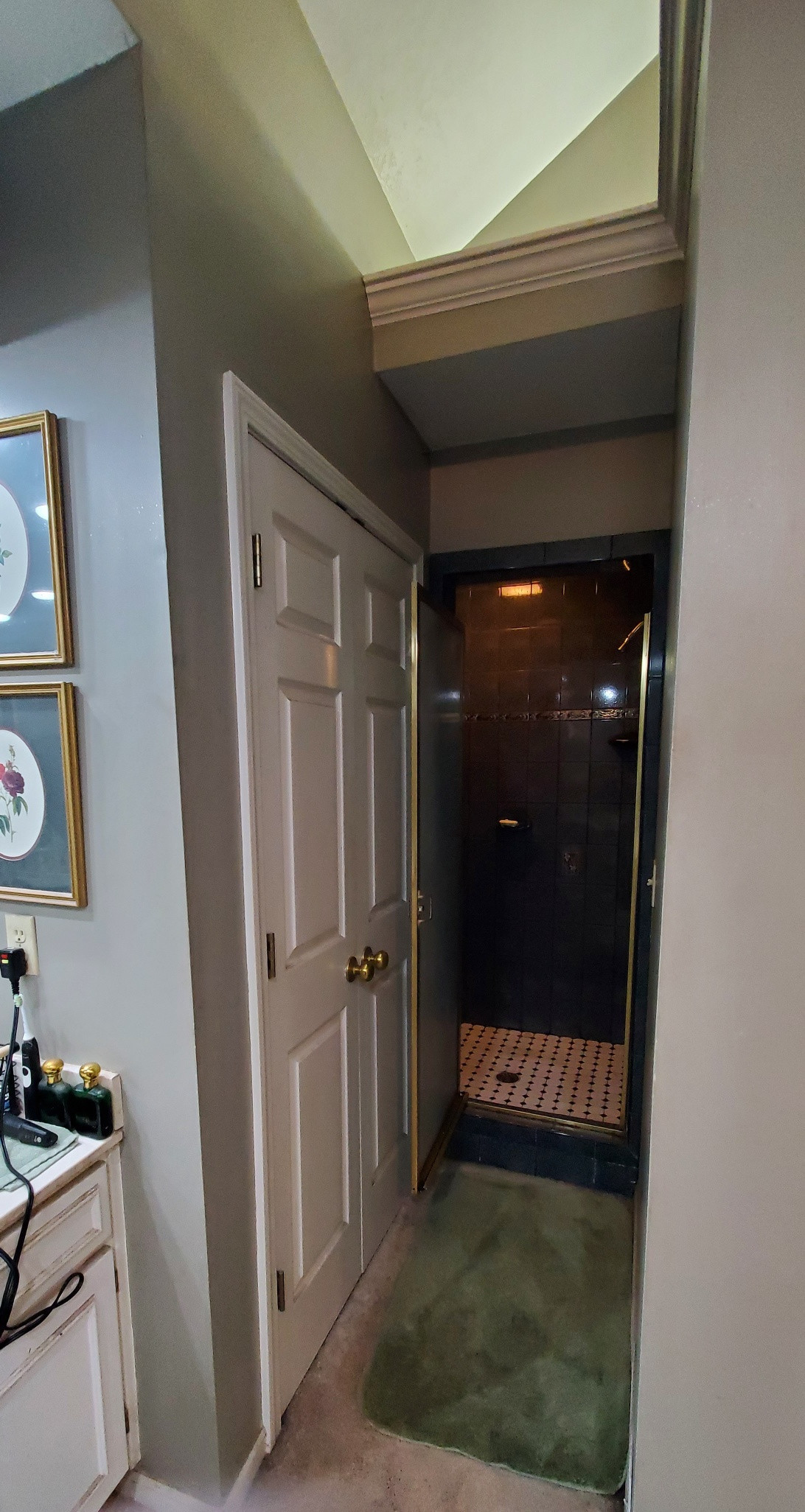 Aging in Place Master Bath