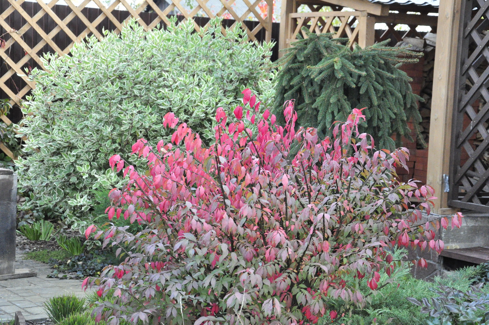 д. Коровино - Уход за садом - 100% качество