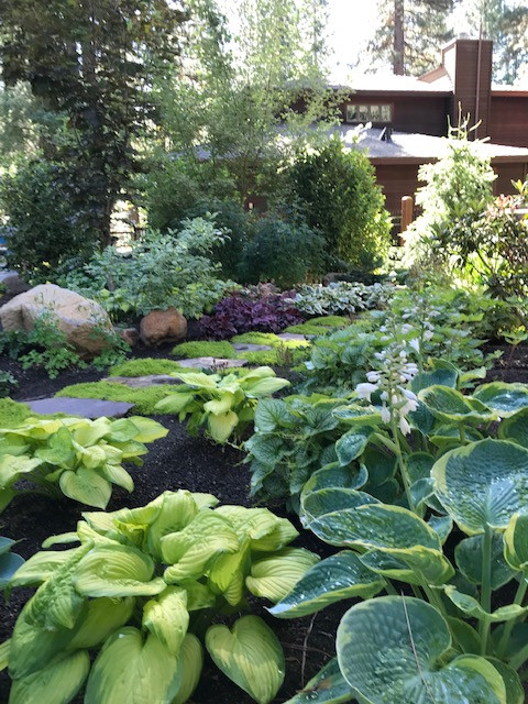 Lake Tahoe Landscape Designs
