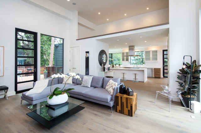 Residence, Mill Valley, California minimalistisch-wohnbereich