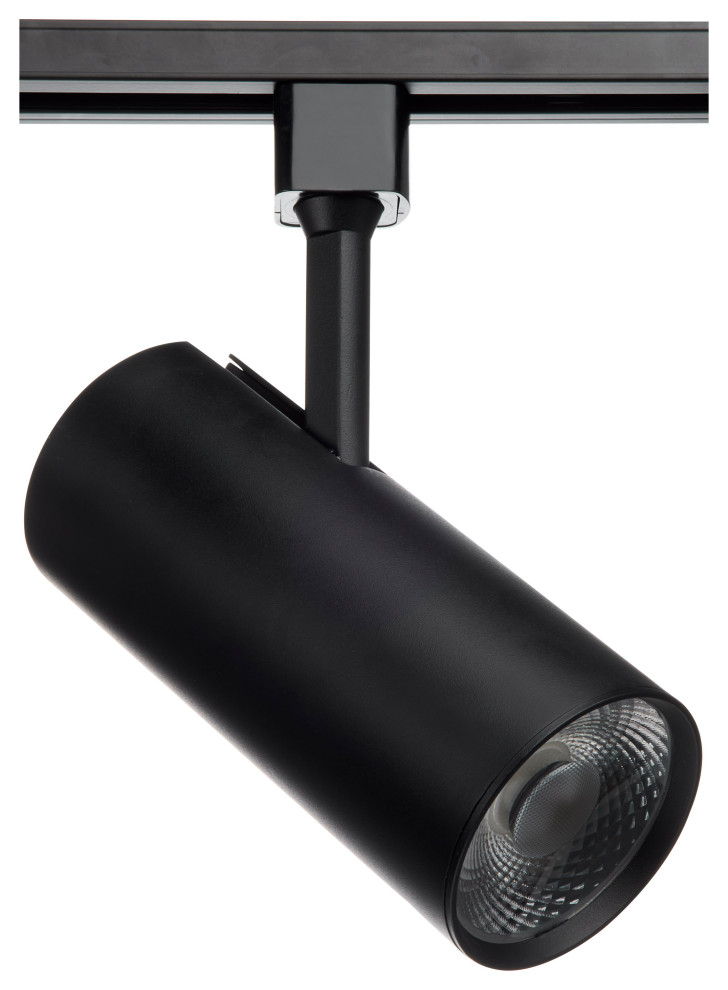 LED Track Head in Black Transitional Track Heads And Pendants by
