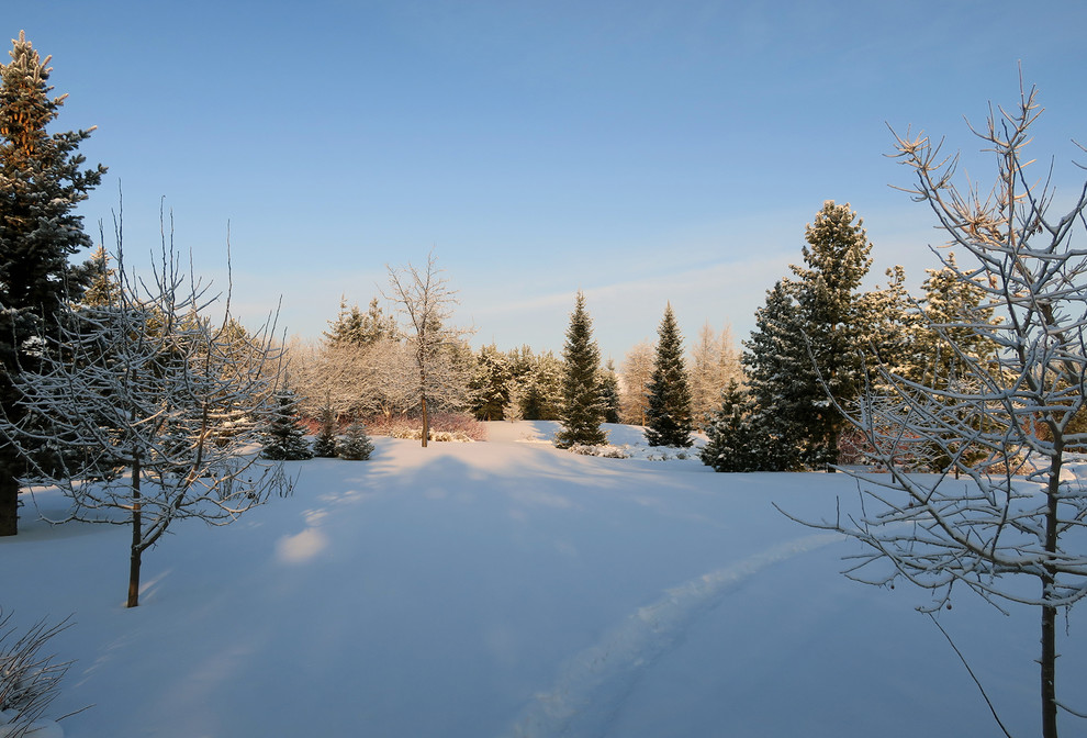 Новый пейзаж