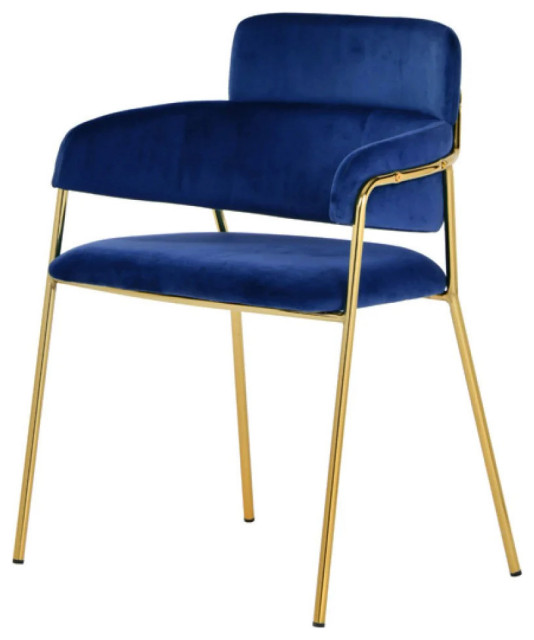 Mack Modern Blue Velvet and Gold Dining Chair, Set of 2 Contemporary