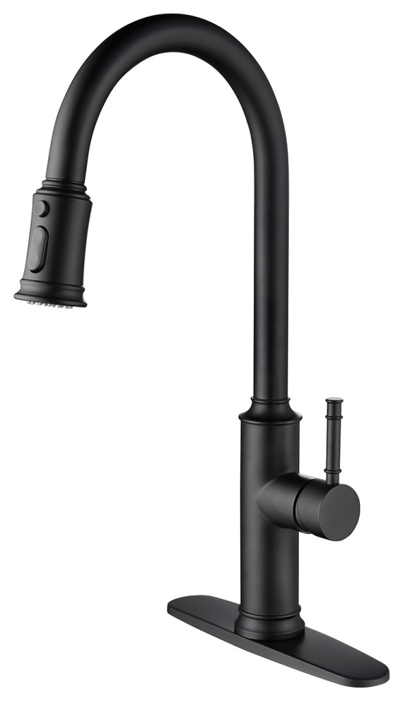 Kitchen Faucet With Pull Out Sprayer, Matte Black Transitional