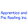 Apprentice And Pro Roofing Inc.