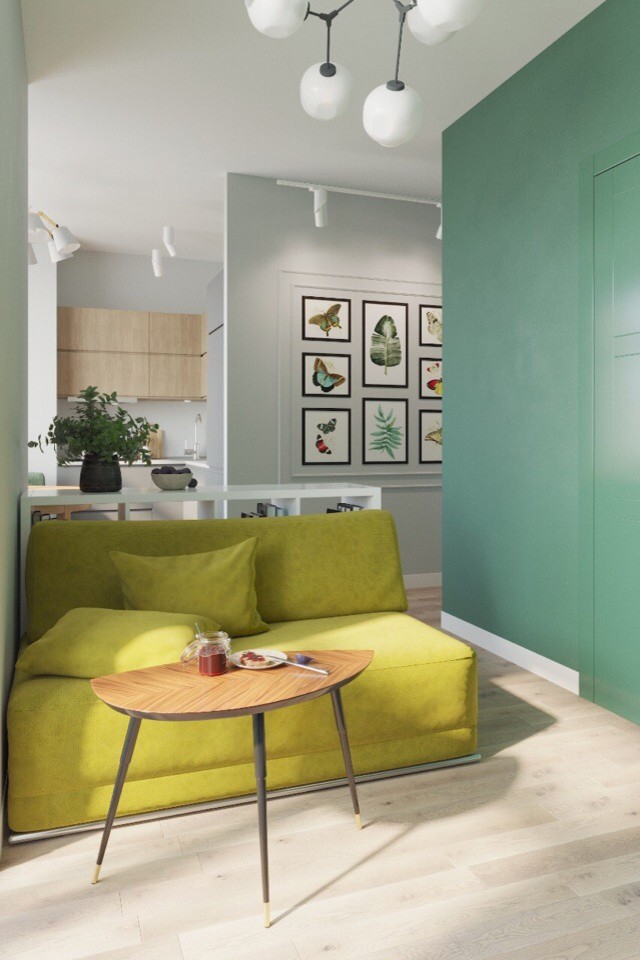 Дизайн квартиры 38м2 евродвушка в стиле ЭКО