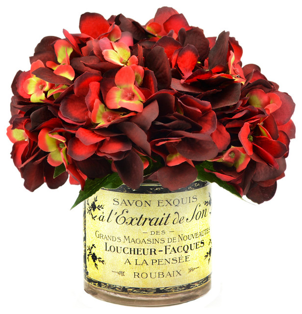 Burgundy hydrangeas in French label pot