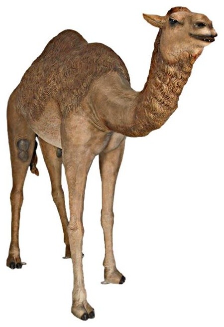 life size camel statue
