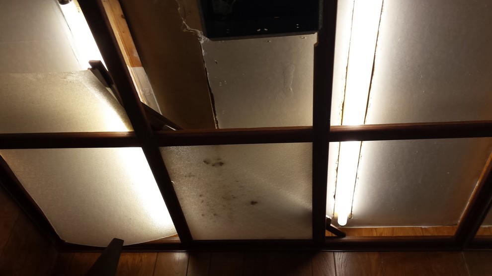 Gurrola Master Bath Conversion