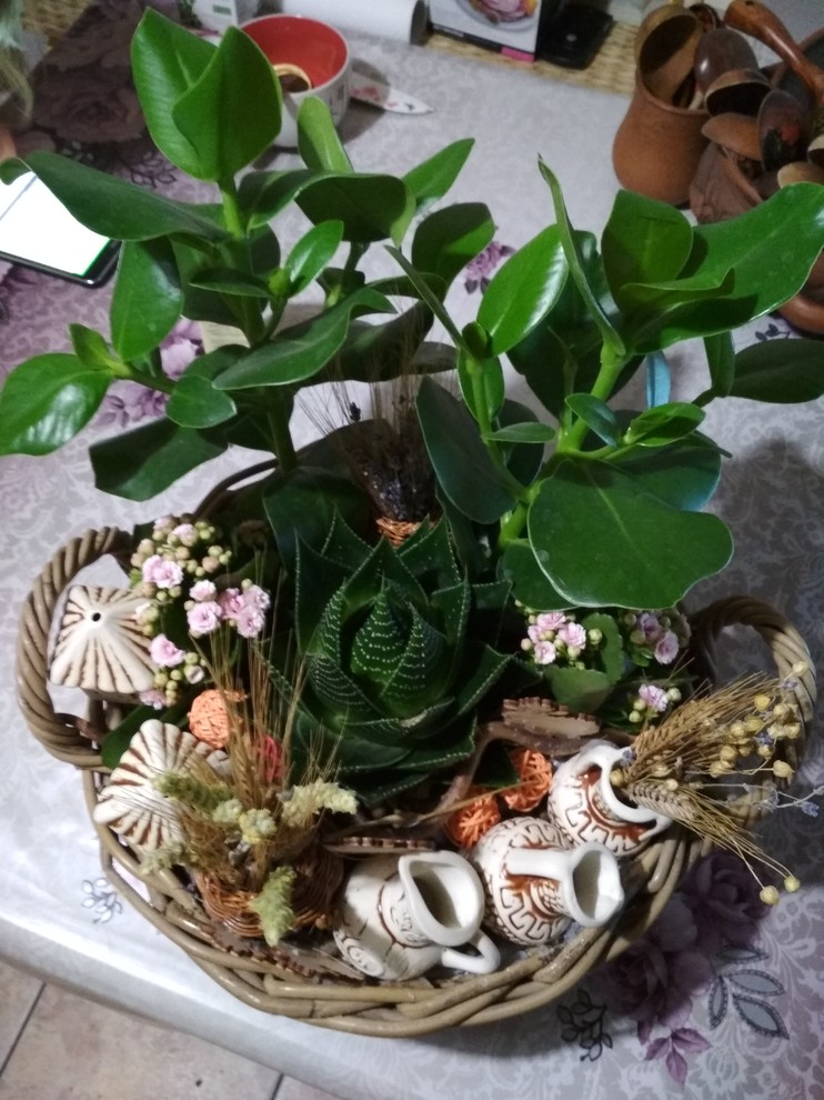 фитодизайн