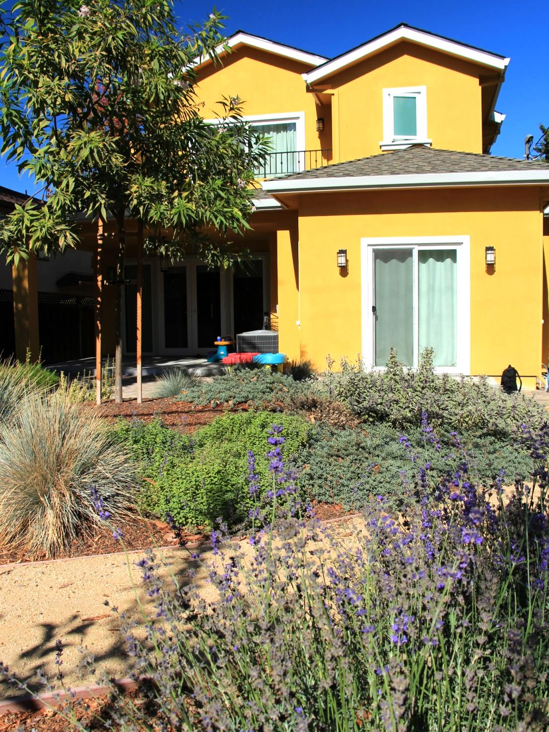 Vivide colors garden