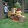 Brad's Stump and Tree Service