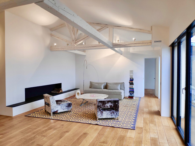 Transformation de combles en loft modern-vardagsrum