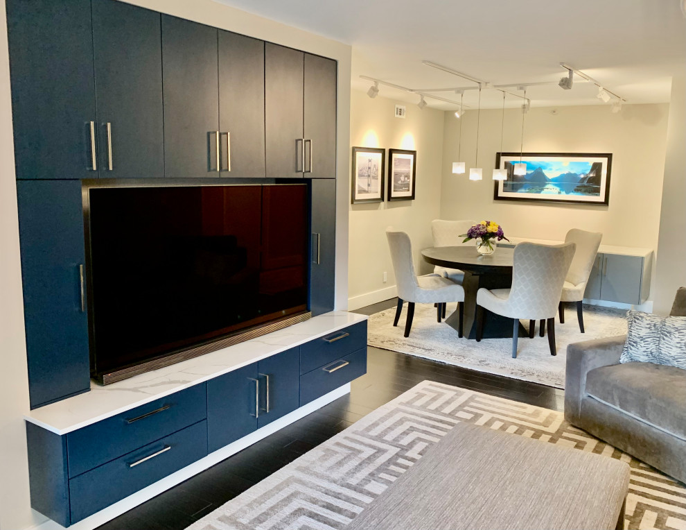 Rosslyn High-Rise Condo Total Remodel
